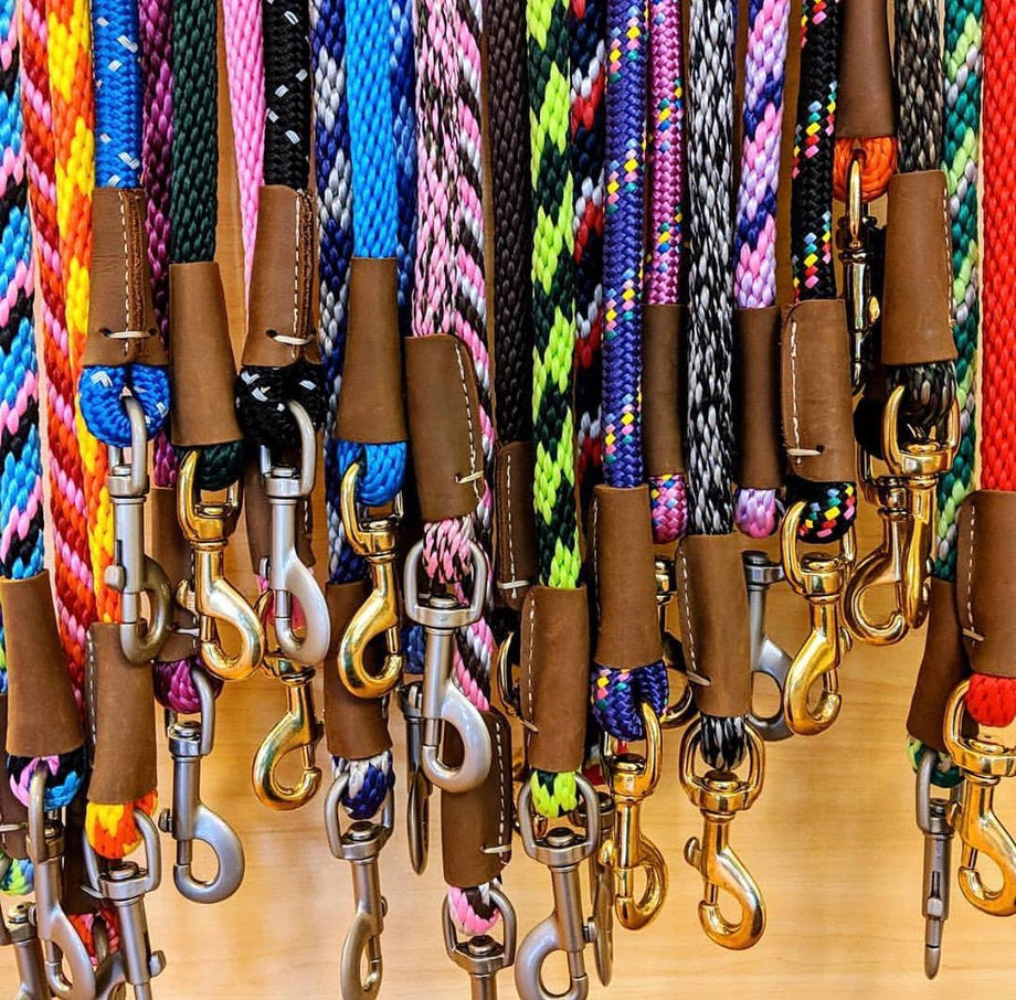 Leashes Collars Harnesses Modern K9