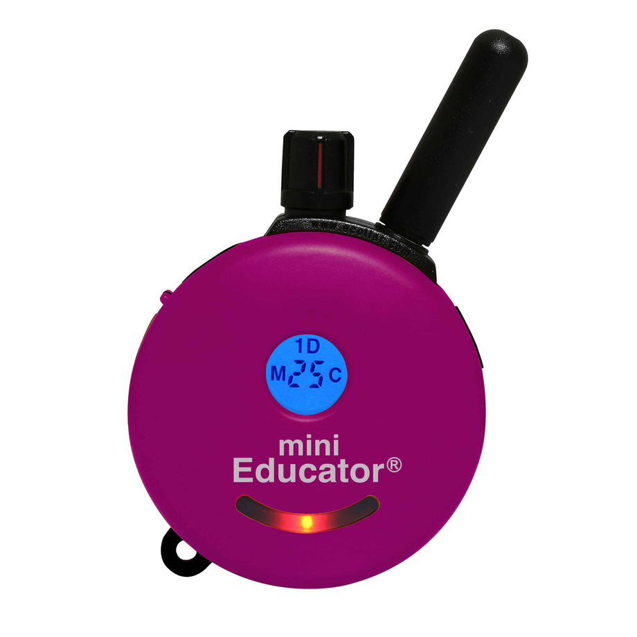 Mini educator training collar best sale