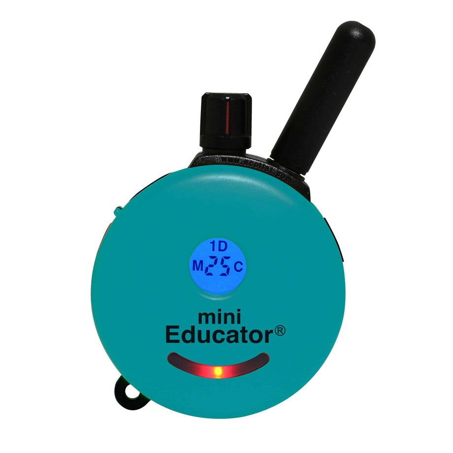 Mini educator dog collar hotsell