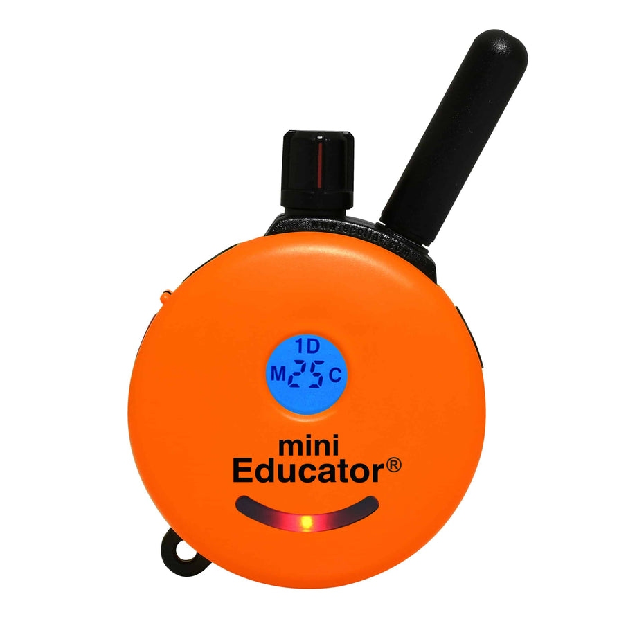 Mini educator for sale hotsell