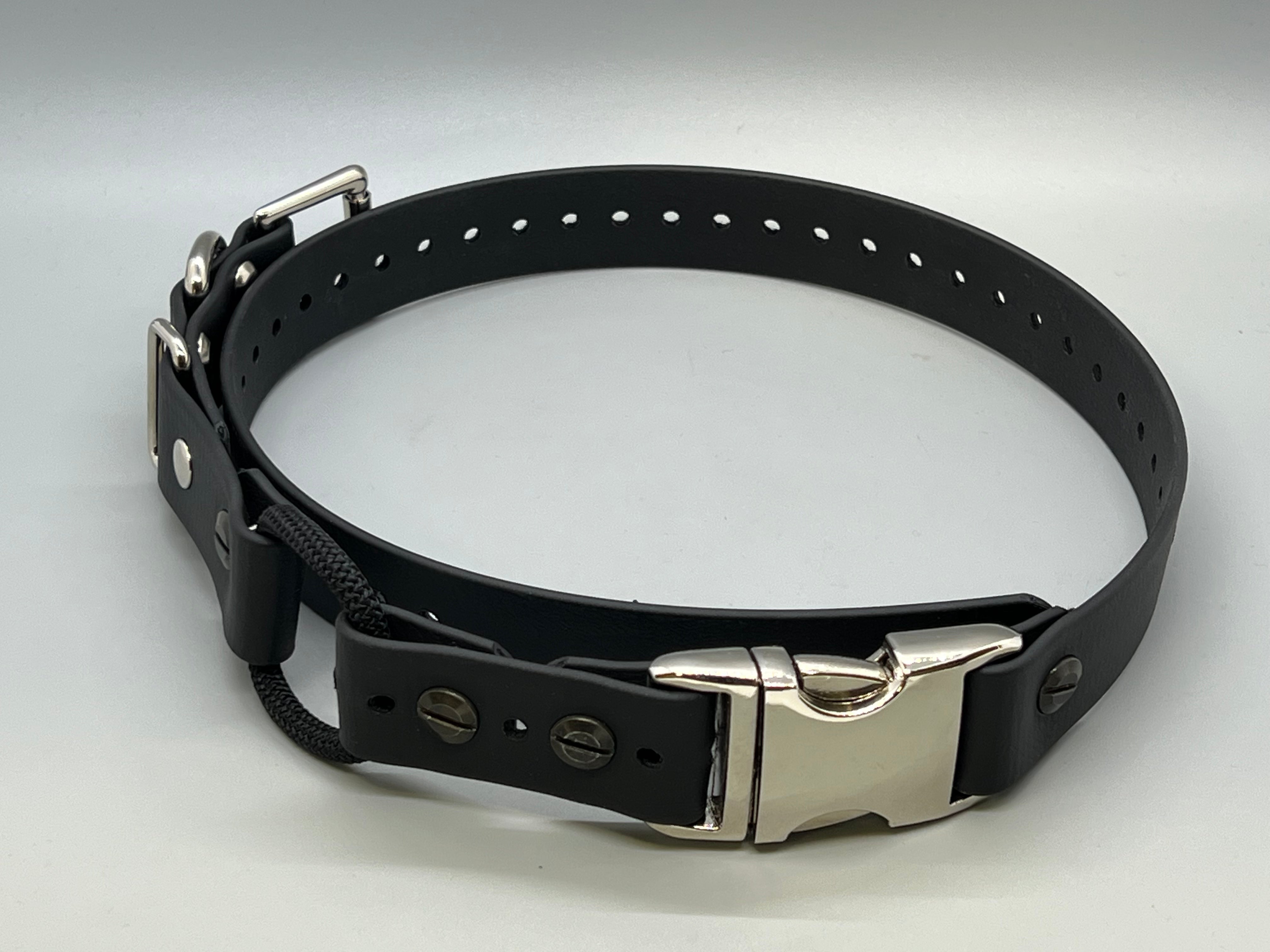 Quick snap bungee hot sale collar